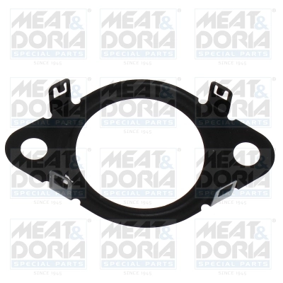 Gasket, EGR valve